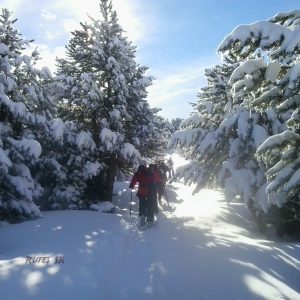 Family Getaway Package + Snowshoeing Excursion