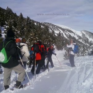 Couple's Getaway Package + Snowshoeing Excursion