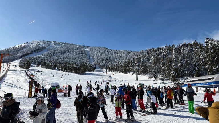 WhatsApp Image 2026-01-25 at 11.42.38 (3)