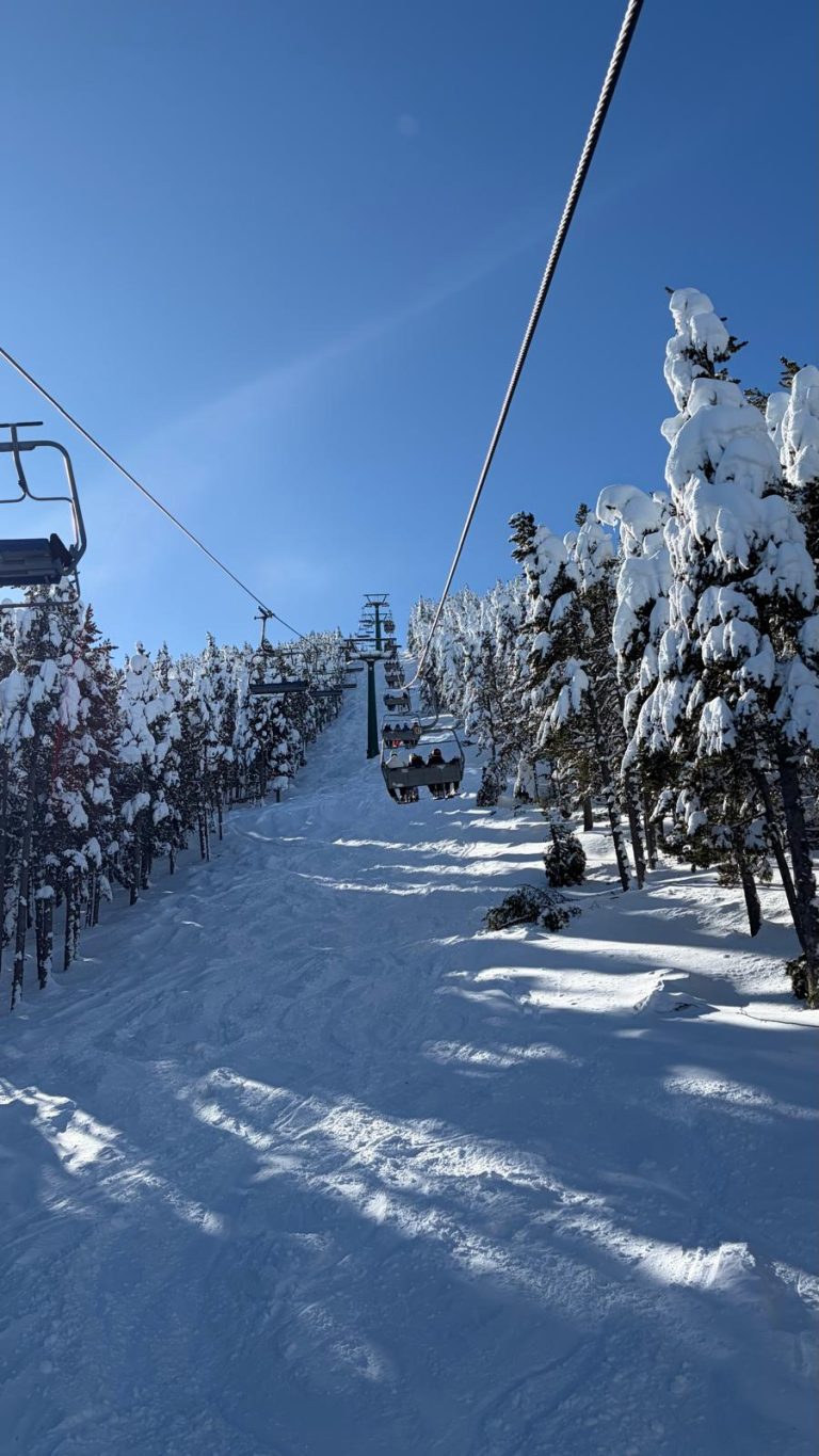 WhatsApp Image 2026-01-25 at 11.59.33 (2)