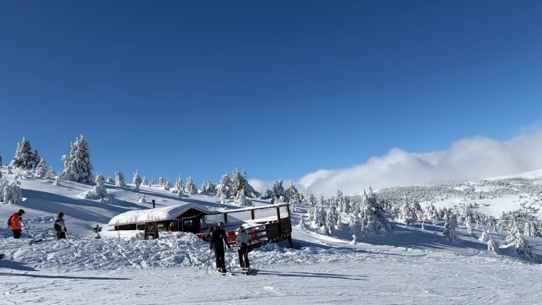 WhatsApp Image 2026-01-25 at 12.17.29 (2)