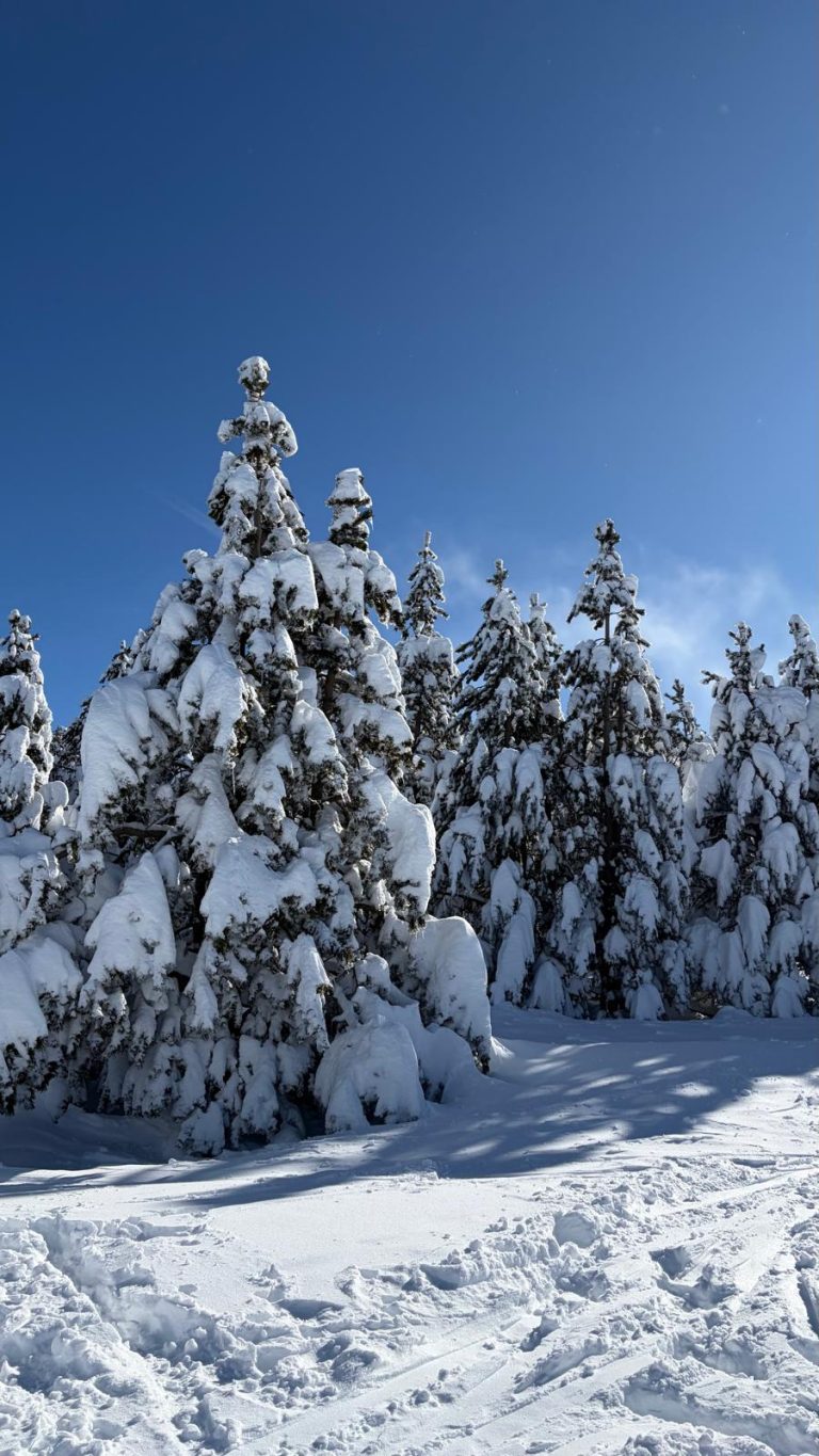 WhatsApp Image 2026-01-25 at 12.43.52 (2)