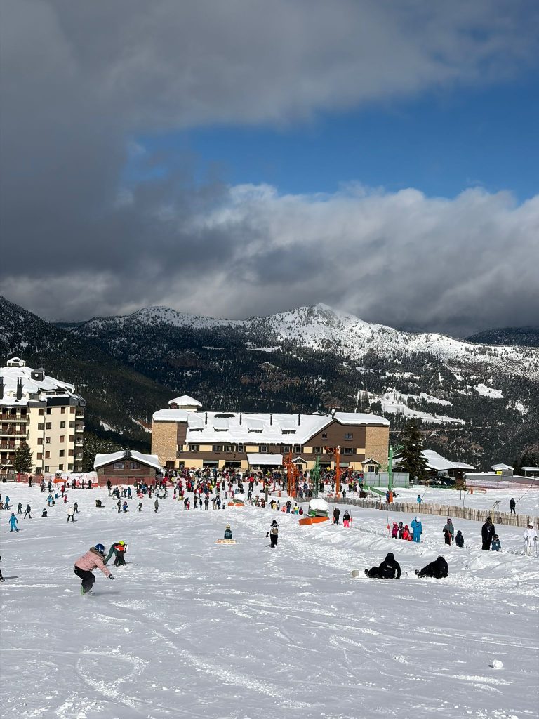 WhatsApp Image 2026-01-25 at 13.26.13 (1)